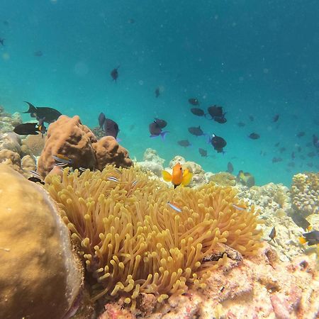Kamadhoo Inn Kültér fotó