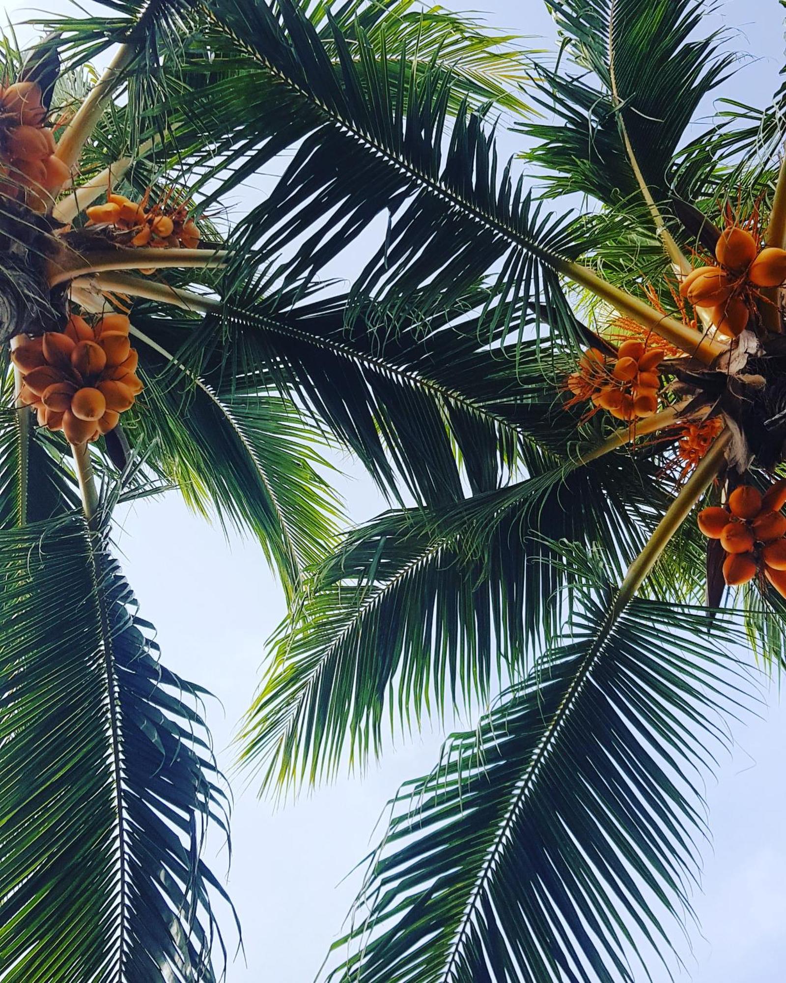 Kamadhoo Inn Kültér fotó