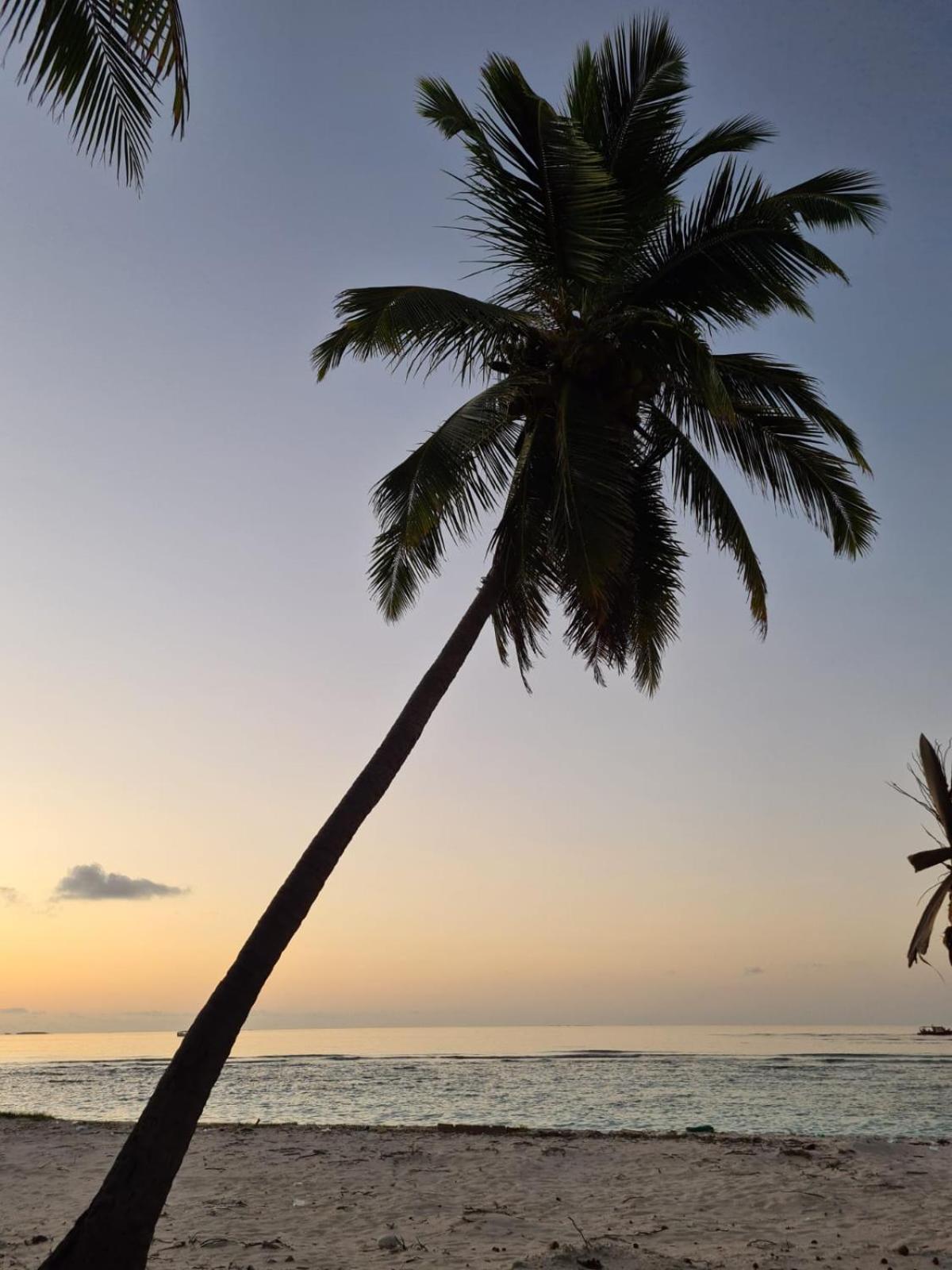 Kamadhoo Inn Kültér fotó